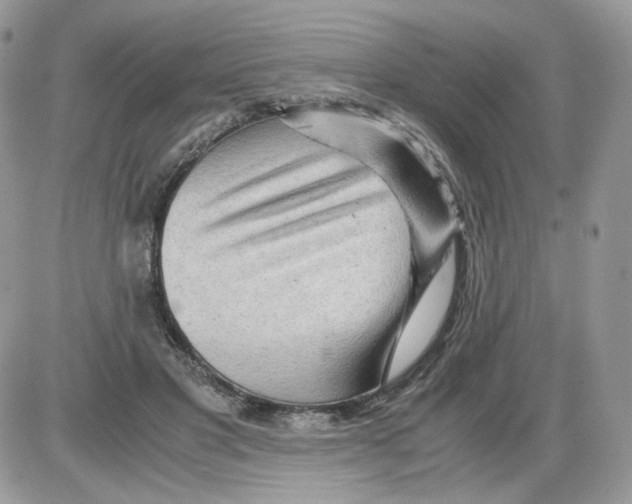 X0000086090501200704202219