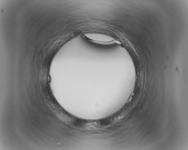 X0000086090505200704202219