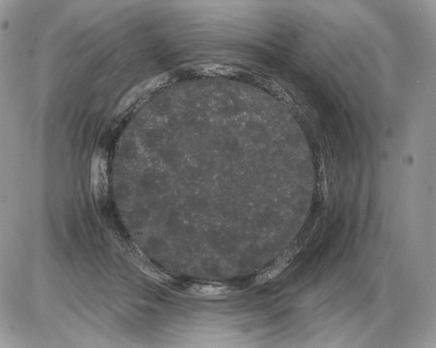 X0000086090506200704202219