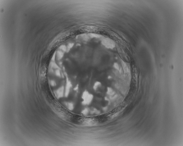 X0000086090507200704202219