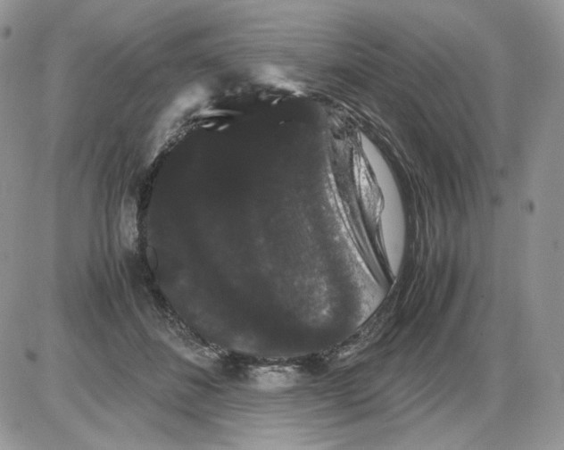 X0000086090508200704202219