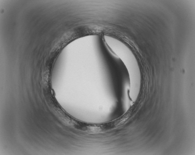 X0000086090509200704202219