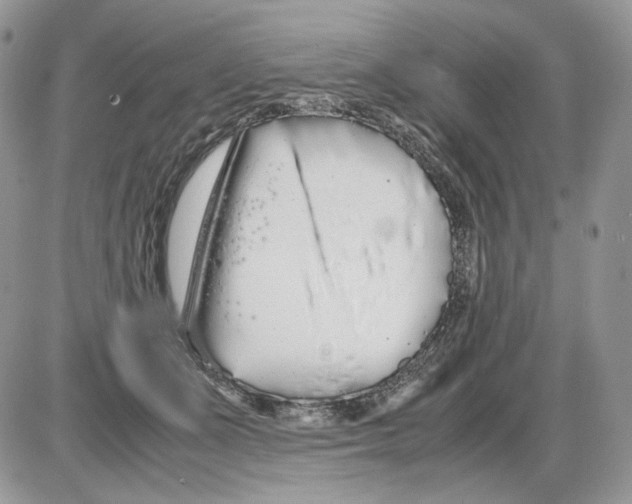 X0000086090511200704202219