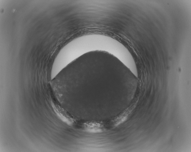 X0000086090512200704202219