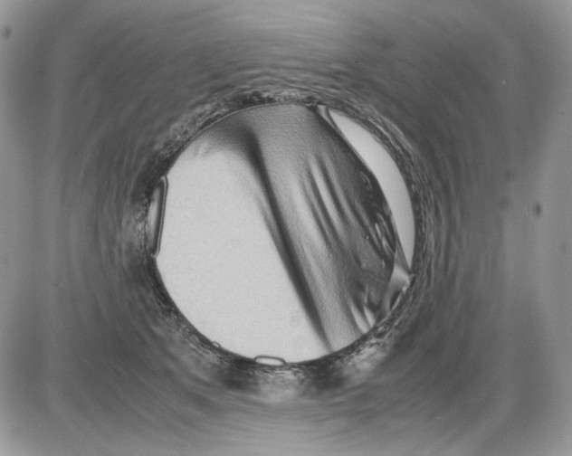 X0000086090513200704202219