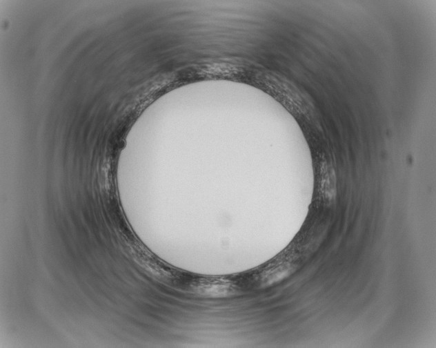 X0000086090514200704202219