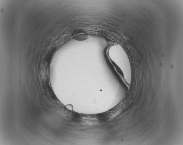 X0000086090515200704202219