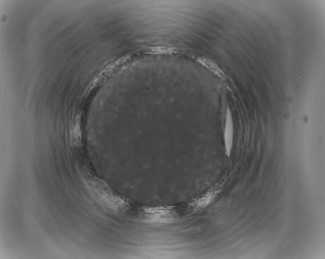 X0000086090516200704202219