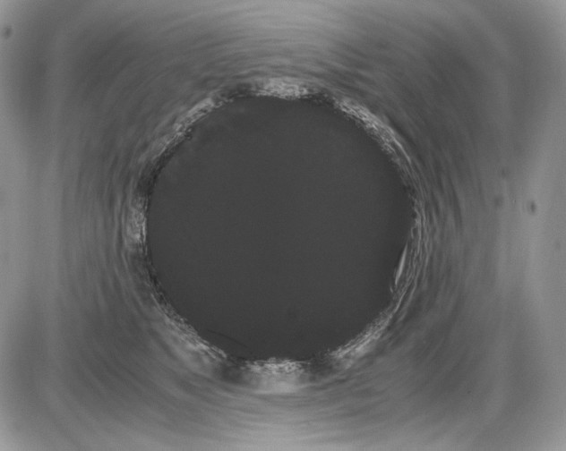 X0000086090517200704202219