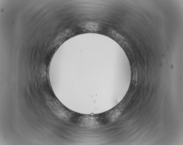 X0000086090518200704202219