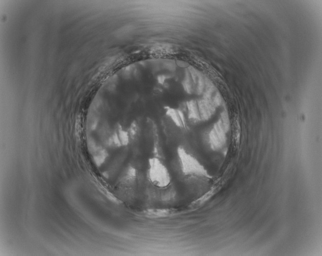 X0000086090519200704202219