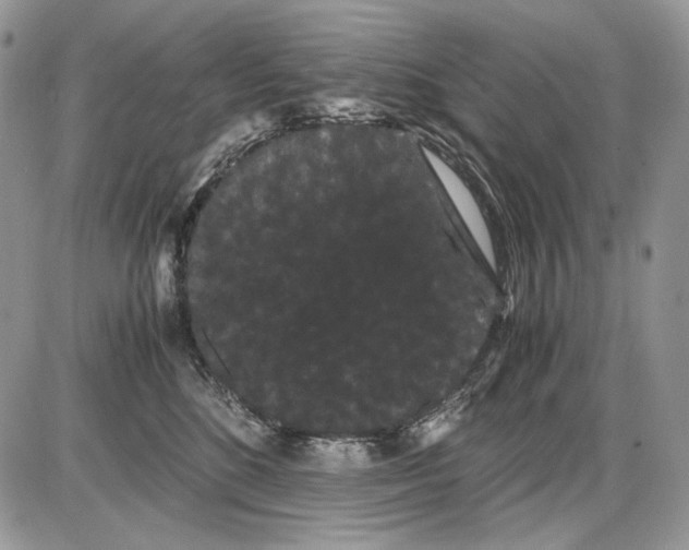 X0000086090520200704202219