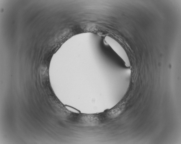 X0000086090521200704202219