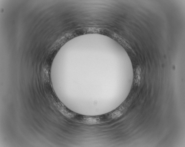 X0000086090522200704202219