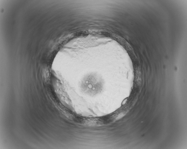 X0000086090523200704202219