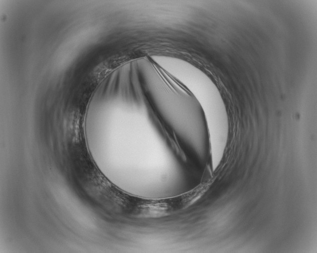 X0000086090525200704202219