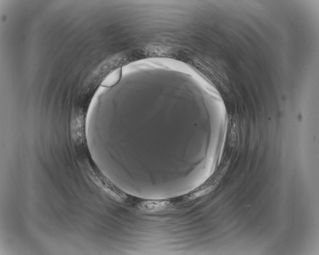 X0000086090526200704202219