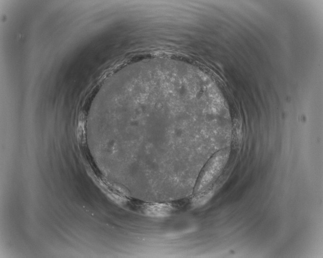 X0000086090527200704202219