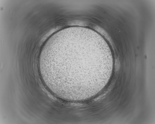 X0000086090529200704202218