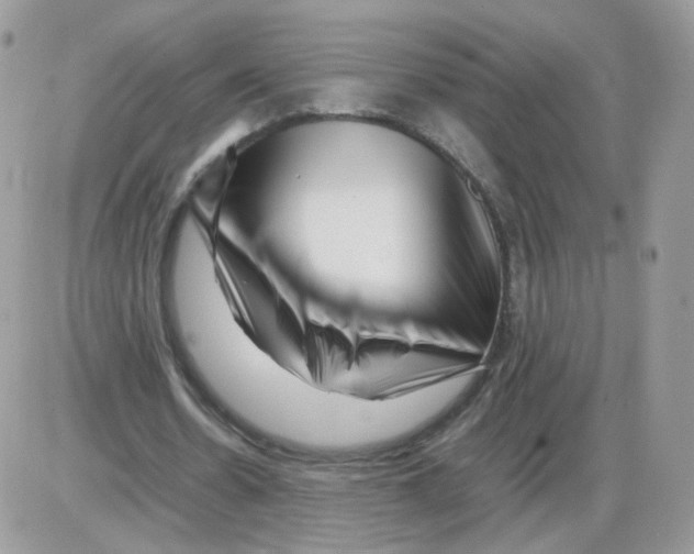 X0000086090530200704202218