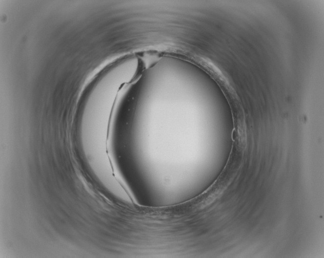 X0000086090532200704202218