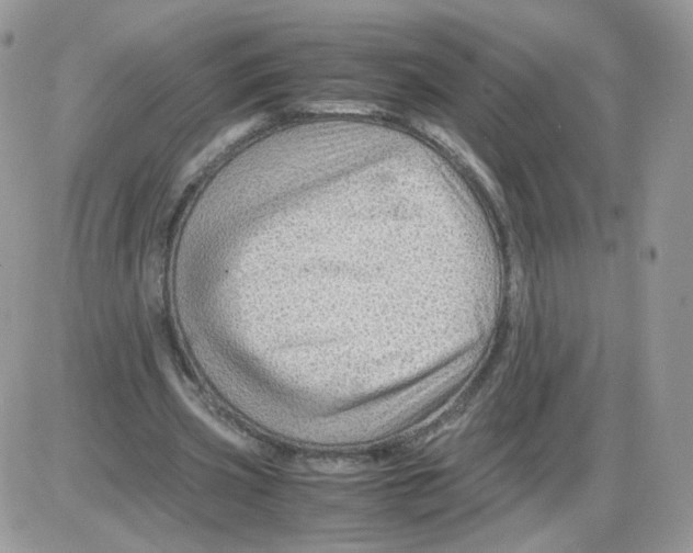 X0000086090533200704202218