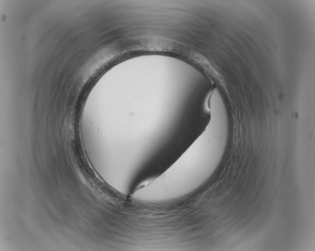 X0000086090536200704202218