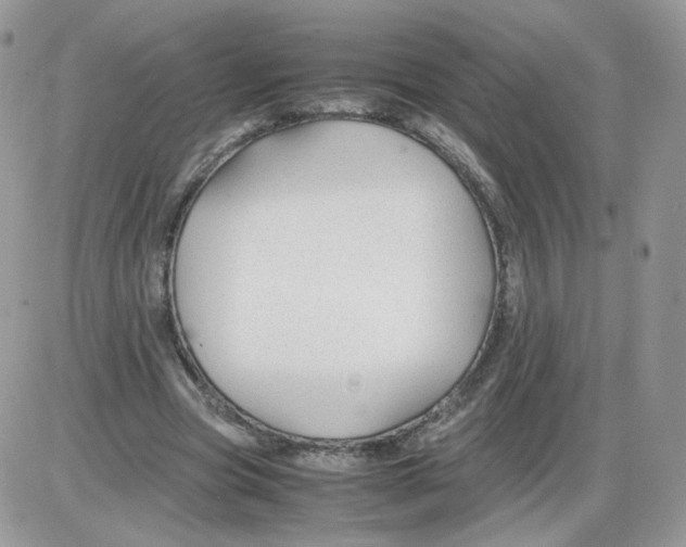 X0000086090537200704202218