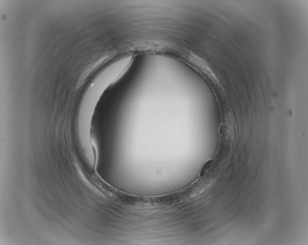 X0000086090538200704202218