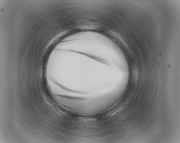 X0000086090539200704202218