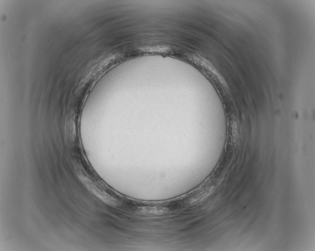 X0000086090541200704202218