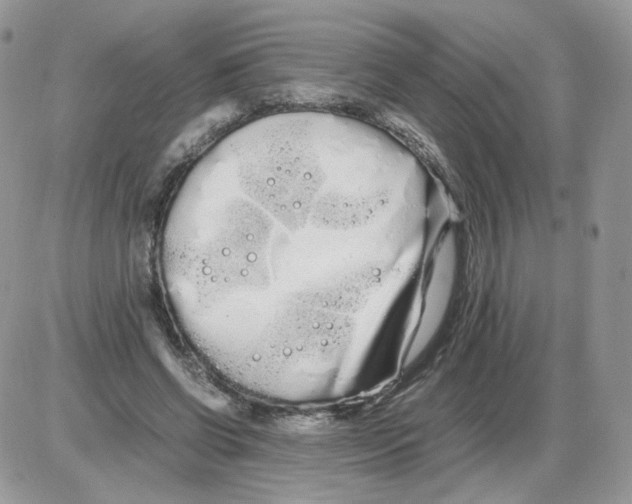 X0000086090542200704202218