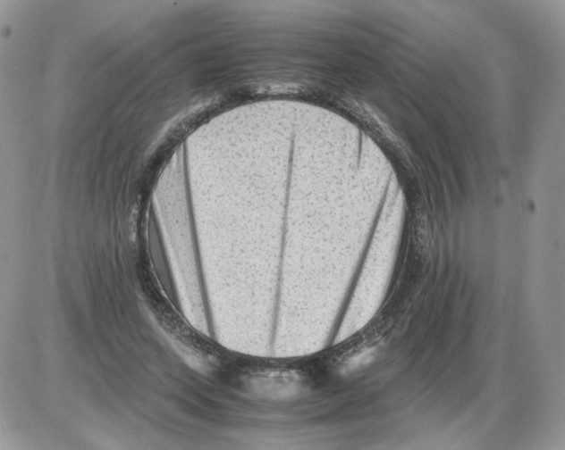 X0000086090543200704202218