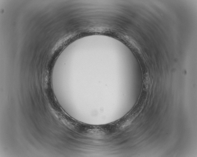 X0000086090544200704202218