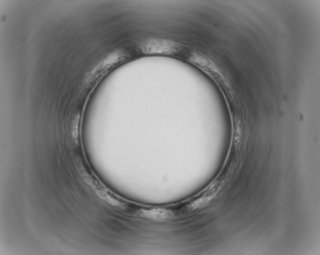 X0000086090545200704202218