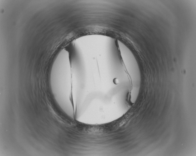 X0000086090546200704202219