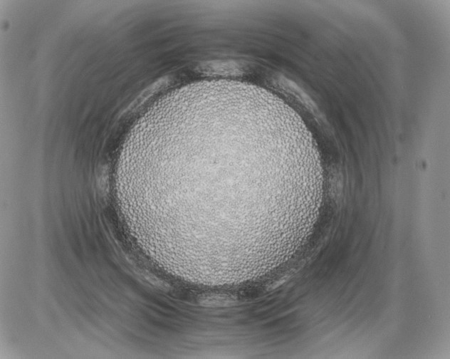 X0000086090549200704202219