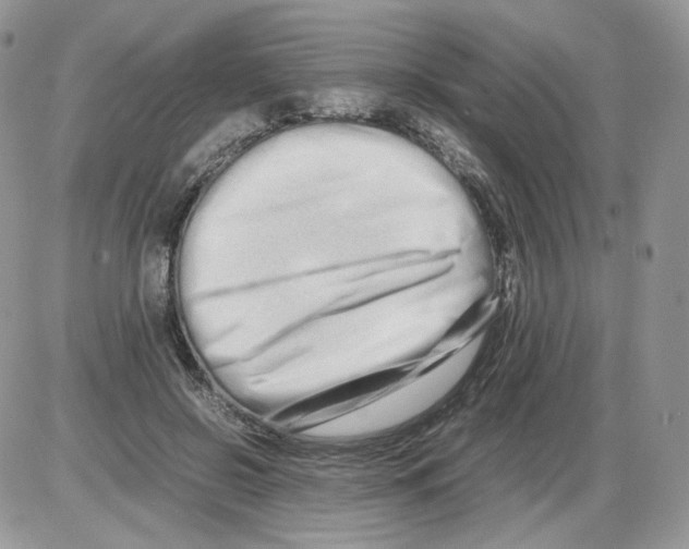 X0000086090550200704202219