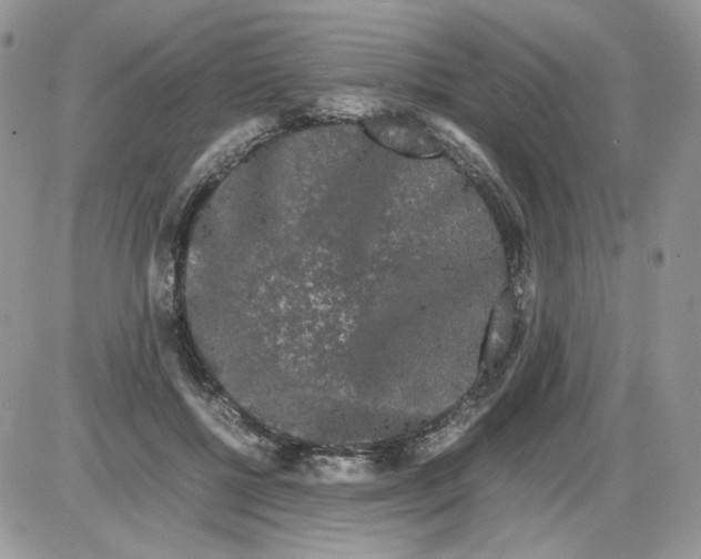 X0000086090552200704202219