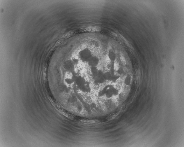 X0000086090553200704202219