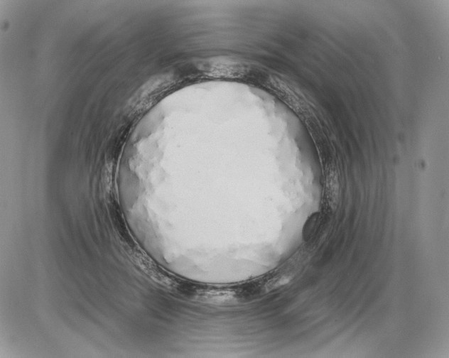 X0000086090554200704202219