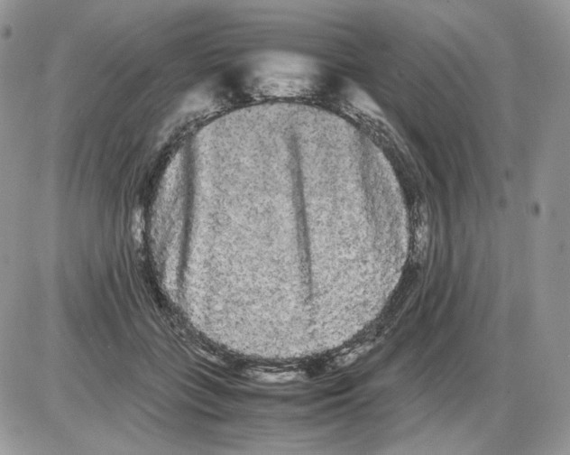 X0000086090555200704202219