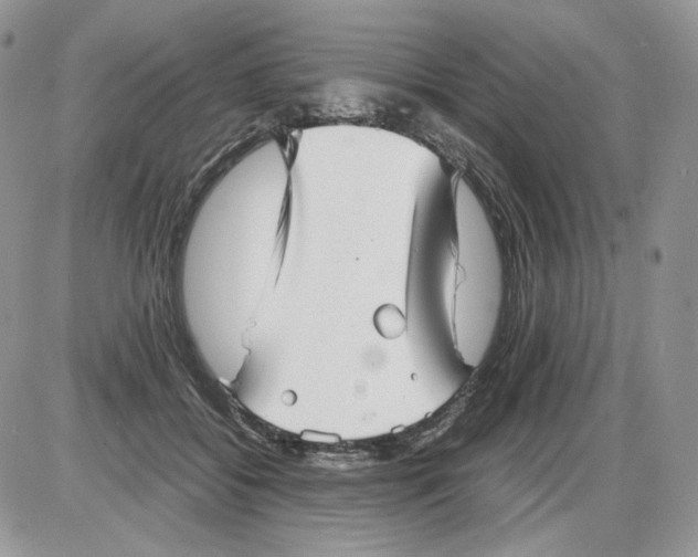 X0000086090556200704202219