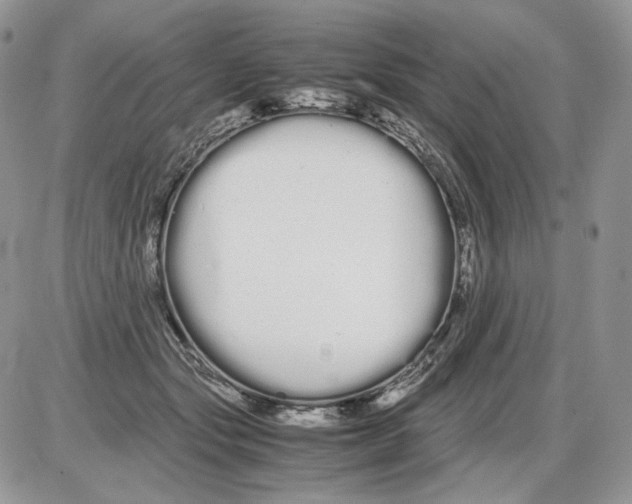 X0000086090557200704202219