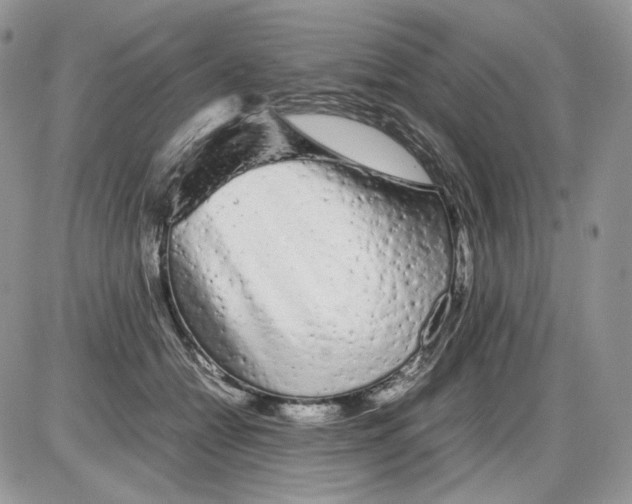 X0000086090558200704202219