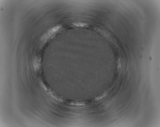 X0000086090559200704202219