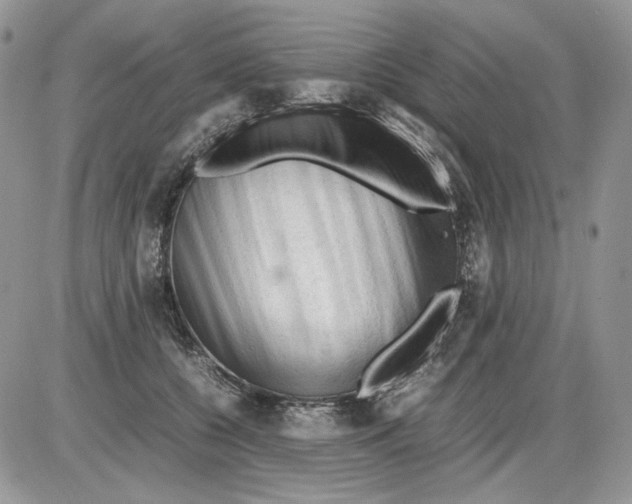 X0000086090560200704202219