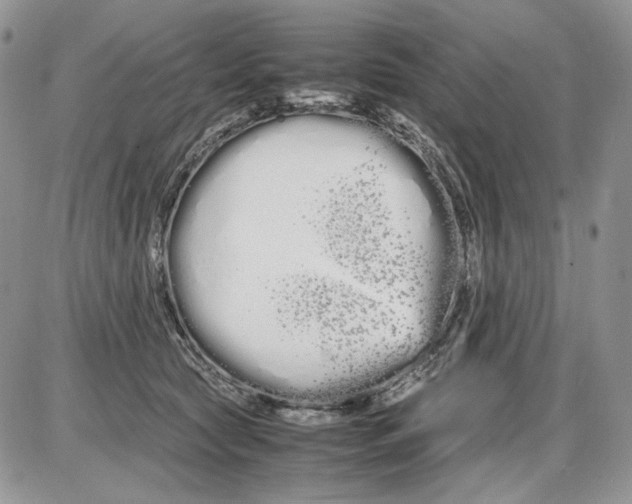 X0000086090561200704202219