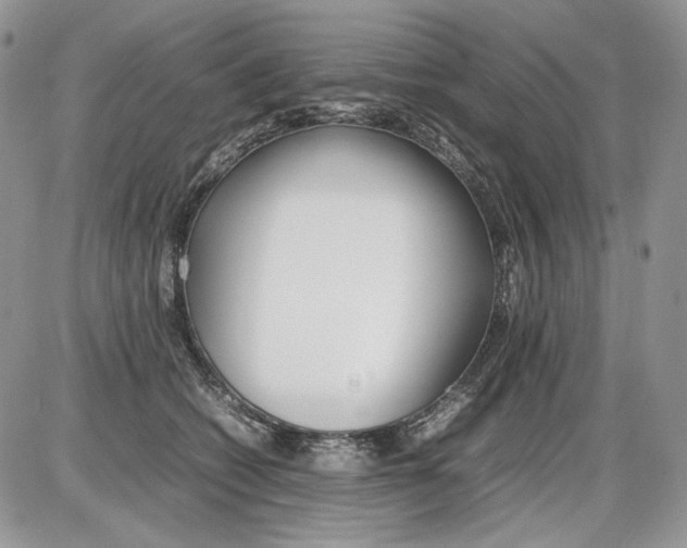 X0000086090562200704202219