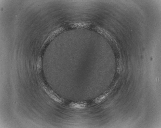 X0000086090563200704202219